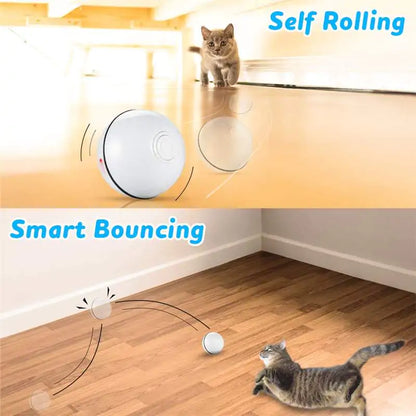 Smart Interactive Pet Ball - USB