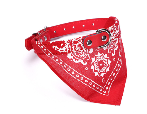 Small Pet Collar with Adjustable Leather Scarf (many colors)