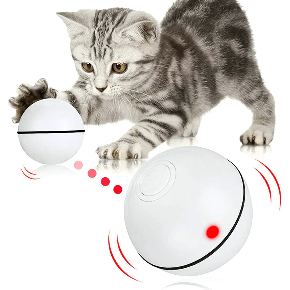 Smart Interactive Pet Ball - USB